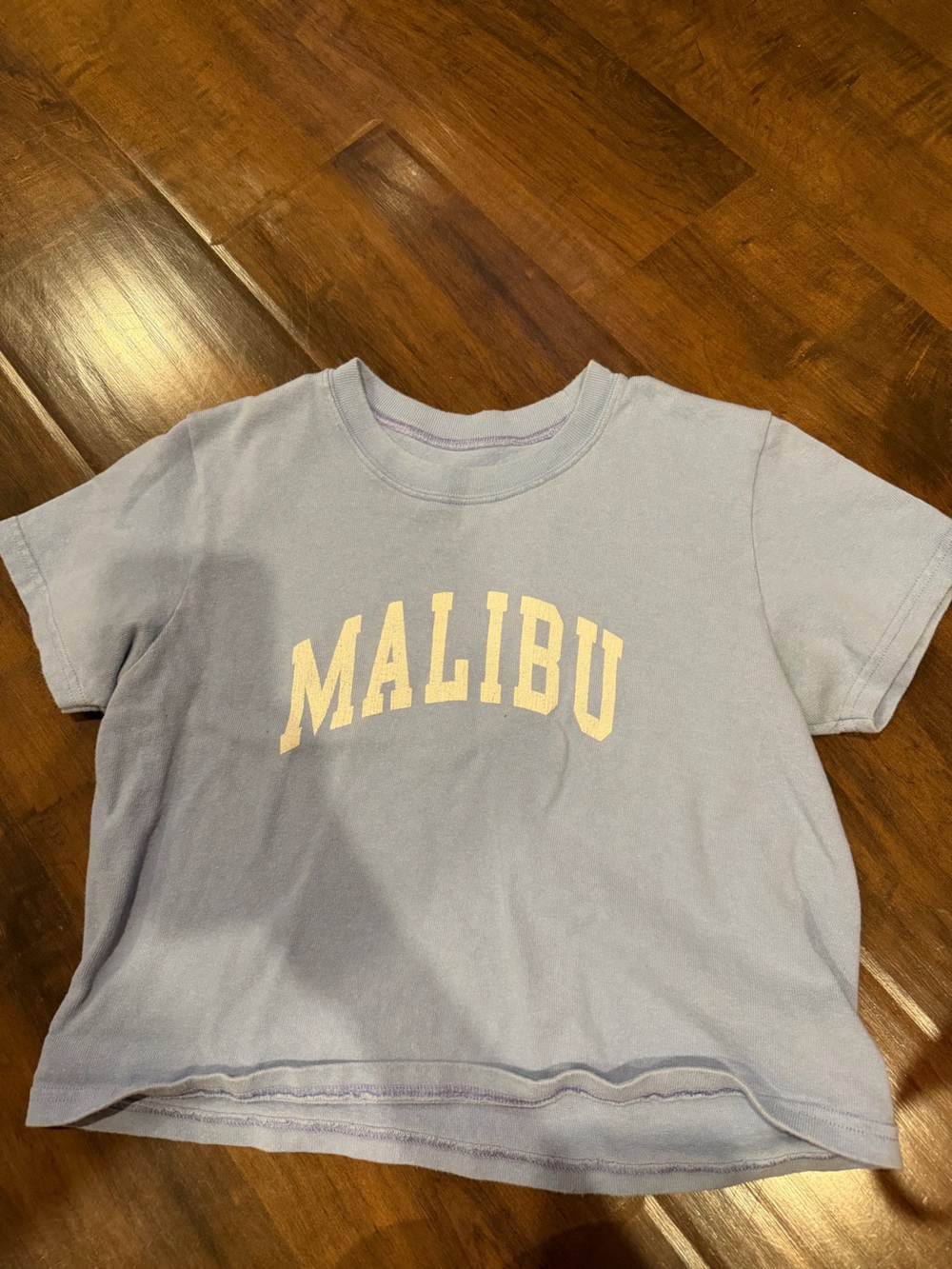 Brandy Melville Light Blue Malibu Graphic Tee